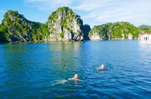 Lan Ha Bay Day Tour From Ha Noi - Daiichi Cruise (VIP3)