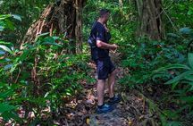 One Day Trekking Cat Ba National Park