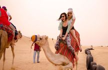 Desert Tour, Dinner and Camping of Luxor