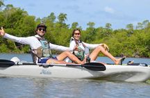 Deluxe Pedal Kayak Tour Marco Island and Naples, Florida