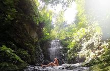 Taman Negara Rainforest Day Tour With Batu Caves Bonus Stop *26*