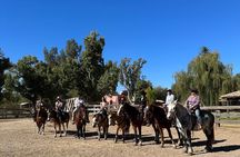 Guided 2 Hour Horseback Ride Catalina State Park Coronado Forest