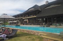 Aquila Big Five Safari Near Cape Town(with optional wine testing)