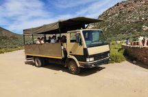 Aquila Big Five Safari Near Cape Town(with optional wine testing)