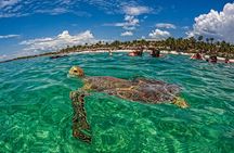 "Private Snorkeling with Turtles and Unforgettable Photos in Akumal"