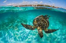 "Private Snorkeling with Turtles and Unforgettable Photos in Akumal"