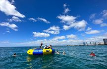 Deluxe Snorkel and Wildlife Cruise in Waikiki