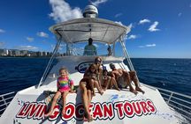 Deluxe Snorkel and Wildlife Cruise in Waikiki