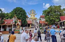  koh samui island and water fall tour