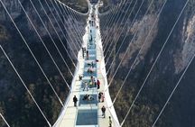 Private Day Trip to Avatar Mountain & Glass Bridge with Lunch