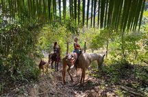 Rey Spearo - Enchanting And Romantic Custom Created Tours