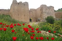 3days: Athens Corinth, Delphi, monasteries, cave, 300 battlefield