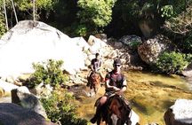 Rey Spearo - Enchanting And Romantic Custom Created Tours
