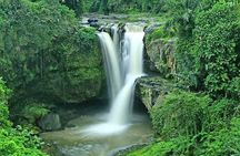 Hire Car with Driver in Bali 