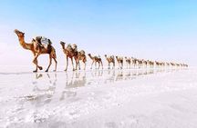 Mekele City Tour