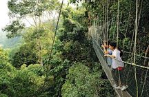 Taman Negara Rainforest Day Tour With Batu Caves Bonus Stop *26*