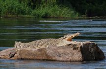 Arusha Tanzania 5 Day Safari Adventure