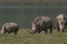 Arusha Tanzania 5 Day Safari Adventure