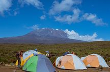 Private Kilimanjaro Hike 7 Day Lemosho Route