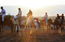 Magical Dinner Experience & Sunset Camel Ride in Marrakech Desert