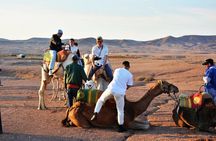 Magical Dinner Experience & Sunset Camel Ride in Marrakech Desert
