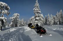 Snowmobile Safari to the Wilderness