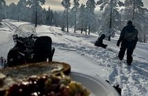 Snowmobile Safari to the Wilderness