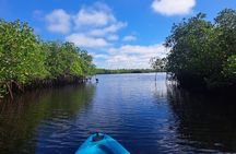 2.5 Hour Kayaking with Manatee and History Tour in Tarpon Springs