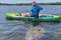 2.5 Hour Kayaking with Manatee and History Tour in Tarpon Springs