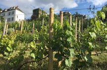 Clos Montmartre 'Paris in your Glass' Wine Tasting