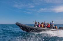 Cannes: Nautical Excursion - Estérel 2H30