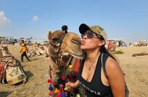 Giza Full Experience: Inside Great Pyramid, Sphinx, Camel, Lunch