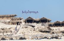 PRIVATE! Speedboat to Mahmya Island with Buffet Lunch - Hurghada