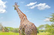 3-Days Arusha National Park-Tarangire park - Ngorongoro Crater