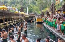 Hire Car with Driver in Bali 
