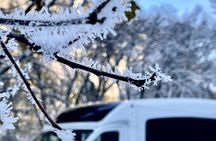 Yosemite Winter Highlights Small Group Tour