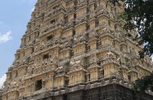 Private Tour to Kanchipuram and Mahabalipuram with Pick Up