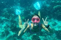 Catalina Island: snorkeling, beach, lunch and river Chavón