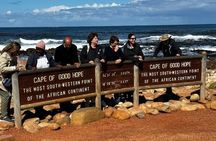 Full Day Private Cape Peninsula and Boulders Beach Tour