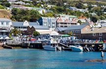 Full Day Private Tour of Cape Peninsula & Boulders Beach 