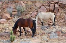 5 Hour Las Vegas Off-Road Secrets: Self Drive Jeep Adventure