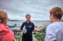 Port Vila Highlights Tour with Pick up included