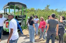 Safari Tour – Paradisiacal Excursion to Bahía de las Águilas