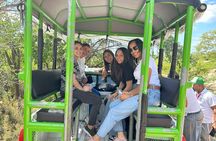 Safari Tour – Paradisiacal Excursion to Bahía de las Águilas