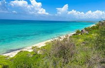 Safari Tour – Paradisiacal Excursion to Bahía de las Águilas