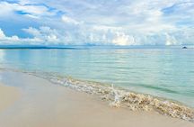 Safari Tour – Paradisiacal Excursion to Bahía de las Águilas