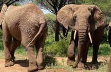 5 Days Northern Migration Budget Safari.