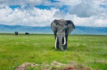 5 Days Northern Migration Budget Safari.