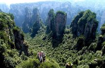 1-Day Private Tour to Zhangjiajie Forest Park & AVATAR Mountain