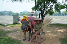 Full Day Hoa Lu/Tam Coc/ Mua Cave Tour by Limousine Bus